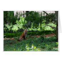 foxmom8 grußkarte