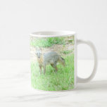 Foxy4 Teetasse