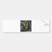 Frack-Schmetterling Auto Sticker