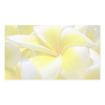 Frangipani-/MacLarenhochzeit placecard Visitenkartenvorlagen