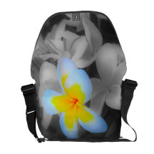 Frangipani mit einem Spritzen der Farbe Kuriertaschen