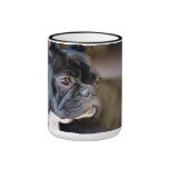 Französisch Bulldog tassen