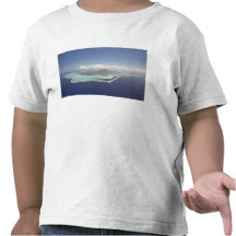 Französisch-Polynesien, Tahiti, Bora Bora. T-shirt