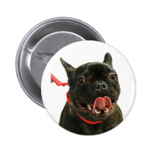 Französische Bulldogge Button