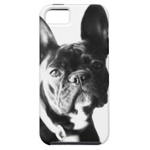 Französische Bulldogge iPhone 5 Hüllen