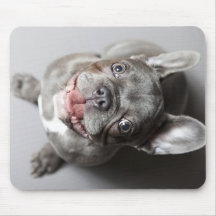 Französische Bulldogge Mousepad