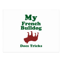 Französische Bulldogge Postkarte