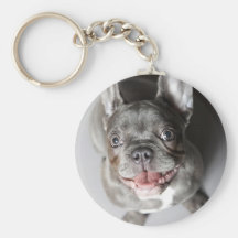 Französische Bulldogge Schlüsselband