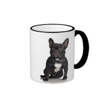 Französische Bulldogge Teehaferl