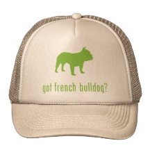 Französische Bulldogge Truckerkappen