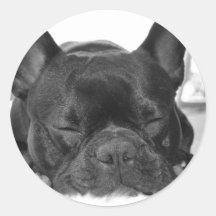 Französische Bulldoggen-Aufkleber