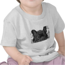 Französische Bulldoggen-Baby-T-Shirt