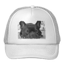 Französische Bulldoggen-Baseballmütze