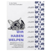 Französische Bulldoggen-Flyer flyer