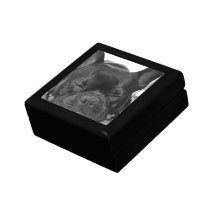 Französische Bulldoggen-Geschenkbox