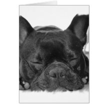 Französische Bulldoggen-Gruß-Karte