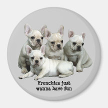 Französische Bulldoggen-Magnet Kühlschrankmagnete