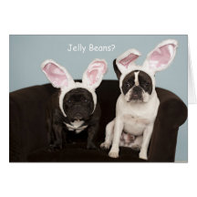 Französische Bulldoggen-Ostern-Karte!