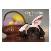 Französische Bulldoggen-Ostern-Karte!