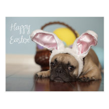 Französische Bulldoggen-Ostern-Karte! Postkarte