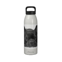 Französische Bulldoggen-Wasser-Flasche Trinkflasche
