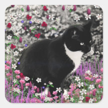 Freckles in den Blumen II - Tuxedo-Katze Quadrataufkleber