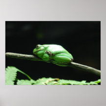 Fred-Frosch Posterdruck