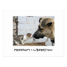 Freiheit = Befreiung Postkarte