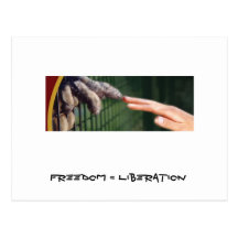 Freiheit = Befreiung Postkarten