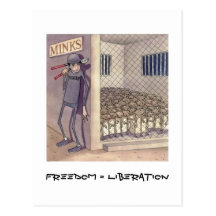 Freiheit = Befreiung Postkarten