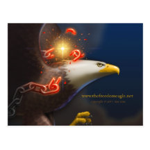 Freiheit Eagle Postkarte