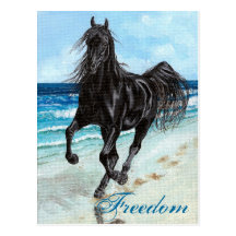 Freiheitspostkarte Pferd des hinteren Stallion ara