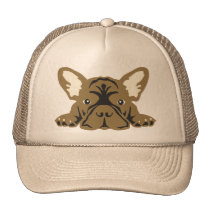 French Bulldog Face kappen
