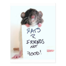 Freund-nicht Nahrung 2 der Ratten-R Postkarte