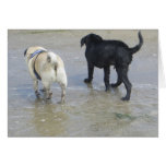Freunde am Strand Karte