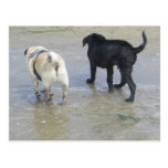 Freunde am Strand Postkarten