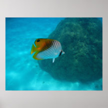 Freundliche Fische Plakat