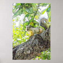 Freundliches Nachbarschafts-Eichhörnchen Posterdrucke