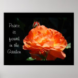 Frieden wird in den Garten-feine Kunst-Druck-Rosen Plakate