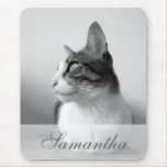 Friedliche Katze Mousepads