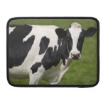 Friesische Kuh Sleeve Für MacBook Pro