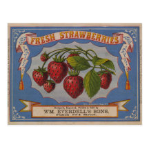 Frische Erdbeeren Postkarten