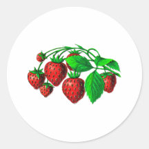 Frische Erdbeeren Runde Sticker