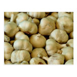Frisches Knoblauch Foto Postkarten