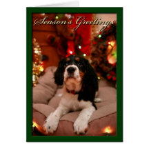 Frohe Festtage, Springer Spanielwelpe Karten