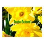 Frohe Ostern! (Yellow Daffodil) Postkarte