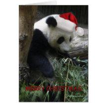 Frohe Weihnacht-Panda-guten Rutsch ins Neue Jahr! Karten
