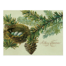 Frohe Weihnacht-Vogel-Eier Postkarte