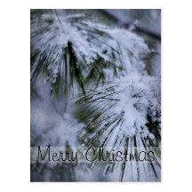 Frohe Weihnacht-winterliche Kiefern-Postkarte