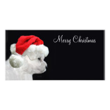 Frohe Weihnachten Bichon Frise Personalisierte Photo Karte